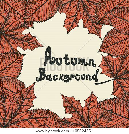 Autumn background. Isolated objects.
