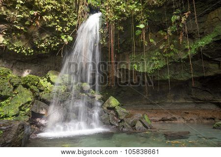 Emerald pool, Dominica