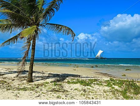 Beach Diani