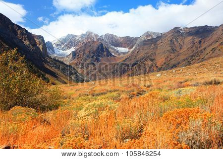 Mount Aggie at McGee creek in eastern Sierra mountains