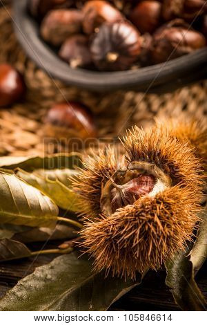 Roasted Chestnuts And Leaves