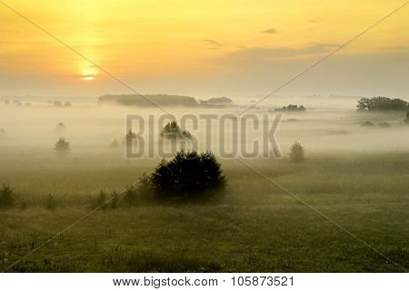 Summer misty morning