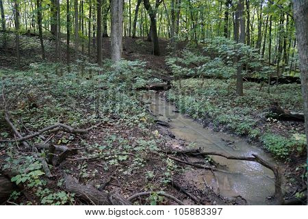 Creek