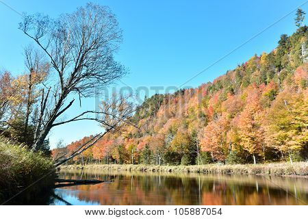 Adirondacks Fall Foliage, New York
