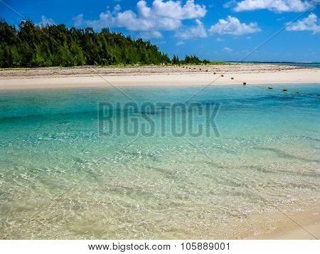 Deer Island Mauritius