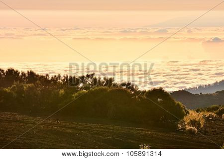 Mar de Nubes