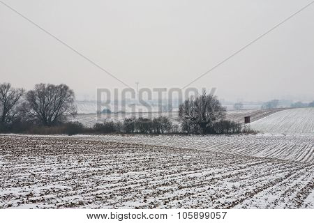 First Snow On The Corn Field