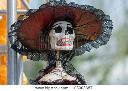 Skeleton Sculpture On Display