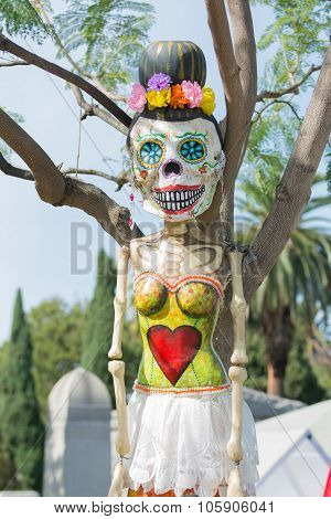 Skeleton Sculpture On Display