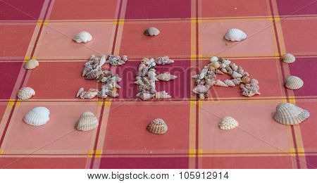 Sea Shells