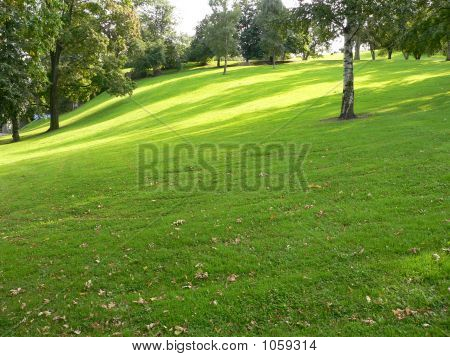 Park