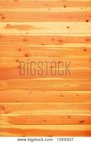 Pine_Background