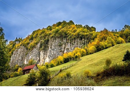 Fall Colors Around A Cottage House.