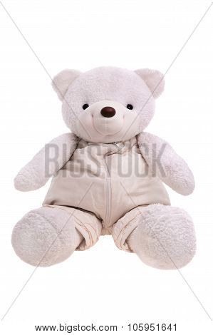 White Teddy Bear Isolated Over White