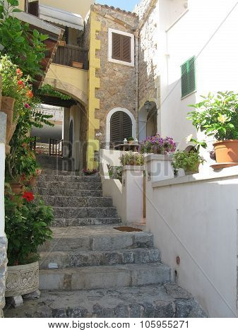 Flowers and staircase by building