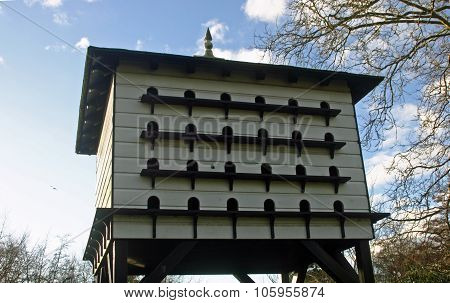 White dovecote