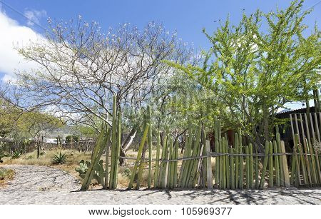 Oaxaca - Mexico