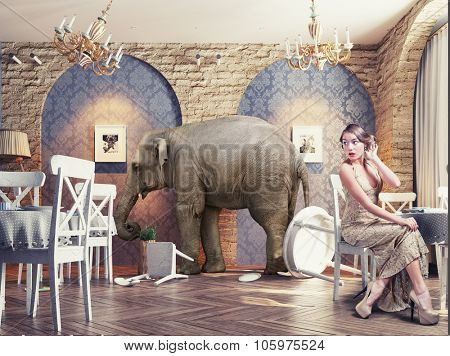 an elephant calm in a restaurant interior. photo combination concept
