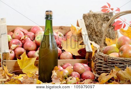 bottle of Normandy Cider, with many apples