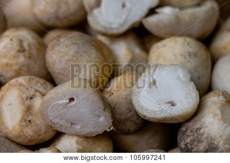 mushroom