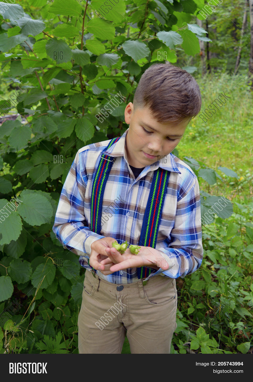 Gay Boy Nuts Green Image & Photo (Free Trial) Bigstock