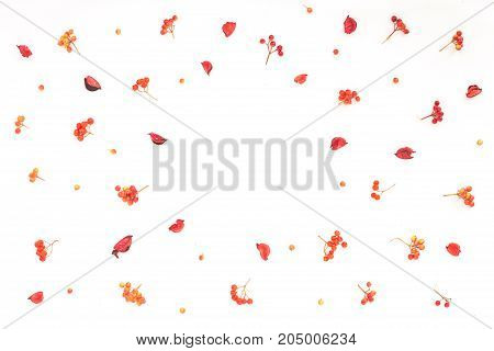 Autumn Frame. Viburnum Berries, Dried Branches, Autumn Acorn, Flowers On White Background. Flat Lay,