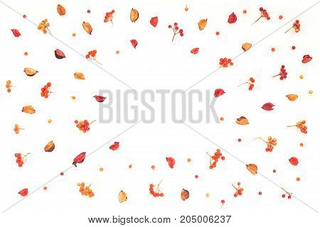 Autumn Frame. Viburnum Berries, Dried Branches, Autumn Acorn, Flowers On White Background. Flat Lay,