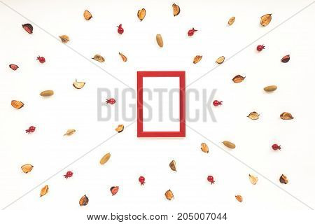 Dried Autumn Flowers On White Background. Autumn Frame. Flat Lay, Top View, Copy Space