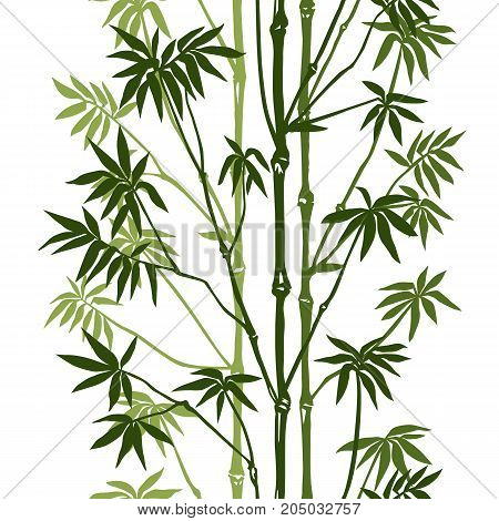 Green bamboo seamless vertical pattern on white background. Tropical wallpaper, nature textile print.