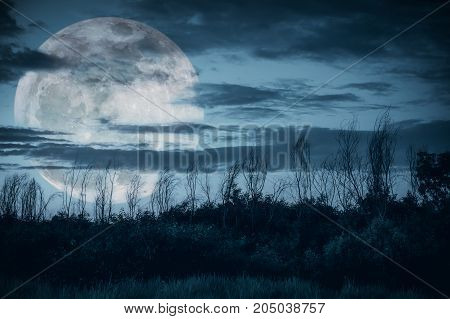 Colorful Sky With Dark Cloudy And Big Moon Over Silhouette Of Trees In A Wilderness Area.
