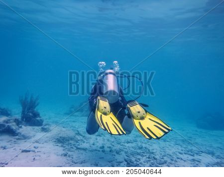 diver under water, in the ocean, at the bottom