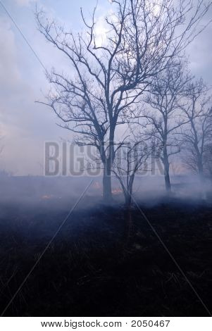 Brand