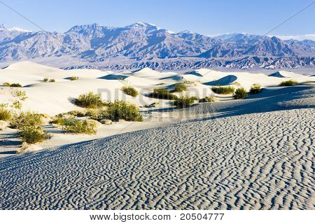 Dune di sabbia di Stovepipe Wells, Death Valley National Park, California, USA