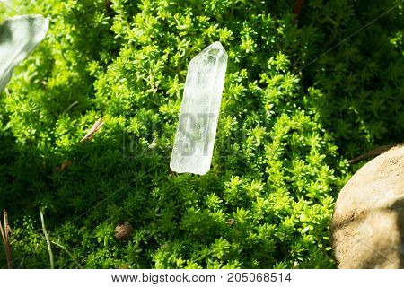 andara healing crystal on a green leaf .
