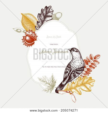 Vintage card design. Hand drawn leaves and seeds illustration. Vector autumn template. Wedding invitation.