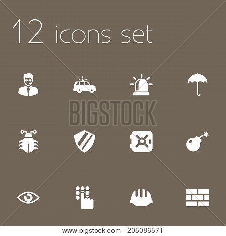 Collection Of Dynamite, Strongbox, Patrol And Other Elements.  Set Of 12 Security Icons Set.