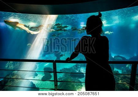 Caucasian blonde woman looking at fishes and leopard shark in oceanarium.Silhouette of female tourist enjoying in ocean exhibit tank. Lisbon, Portugal. Tourism, holidays, lifestyle and leisure concept