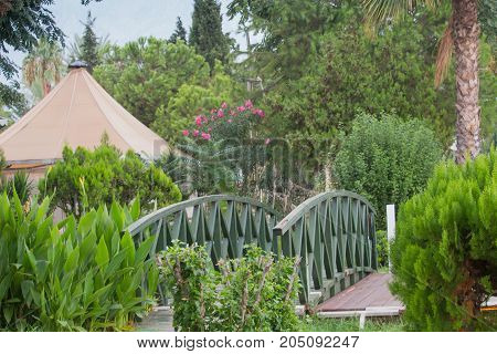 Wooden bridge and surrounded by blossoming flowers and palm trees in the background rising above the far mountains by the sea.