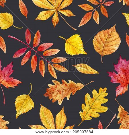 Beautiful seamless pattern with watercolor autumn leaves