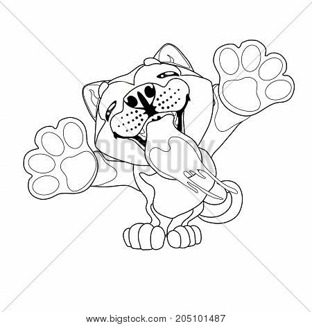 The lovely puppy Akita Inu licks glass standing on hinder legs. A contour line vector illustration separately on white, page coloring book, square.