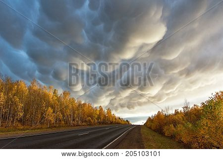 autumn colorful landscape with road and clouds