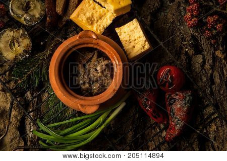 Dish On A Tree Bark