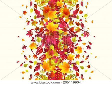 Vector illustration of vertical autumn border background with falling multi colored oak, rowan, maple, birch, willow, chestnut, ash leaves like leaf fall in flat style isolated on white background