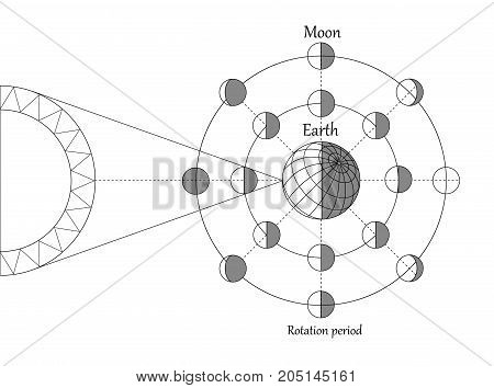 Sciense moon phases scheme, lunar calendar vector background