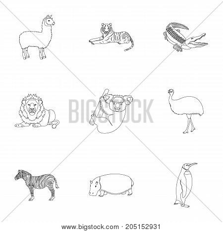 Ostrich emu, crocodile, giraffe, tiger, penguin and other wild animals. Artiodactyla, mammalian predators and animals set collection icons in outline style vector symbol stock illustration .