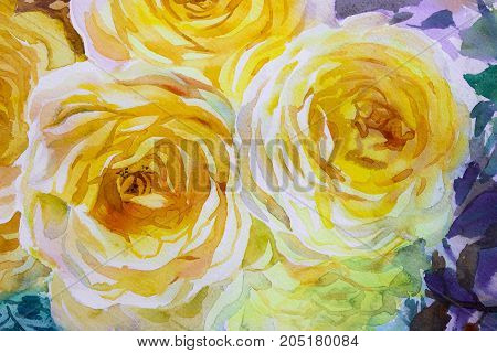 Painting flora art watercolor original illustration yellow color of roses and emotion beauty in nature season or abstract background. Hand painted Greeting cards on special occasions.