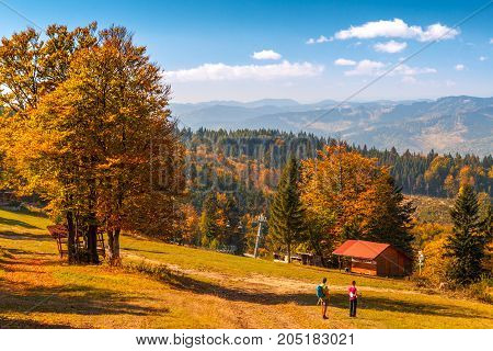 The Mountainous Landscape With Tourists, Forests In Autumn Color