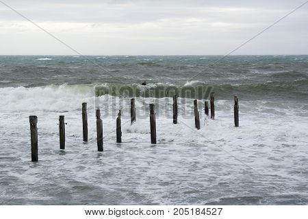 Myponga Beach SA Australia - 5 August 2017: Male surfer tackling very rough weather and large choppy swells in the midst of winter behind the Myponga Beach jetty ruins.
