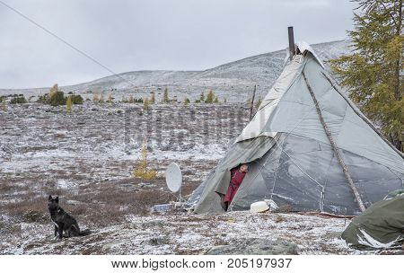 Tsaatan Boy Looing Out Of The Family Yurt In A Cold Autumn Morning