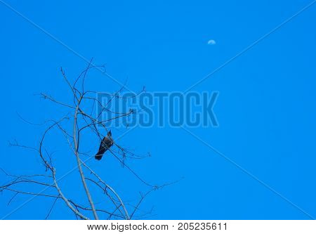 Aim to the moon and reach the sky